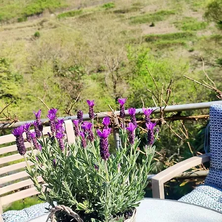 Apartamento Bergblick2