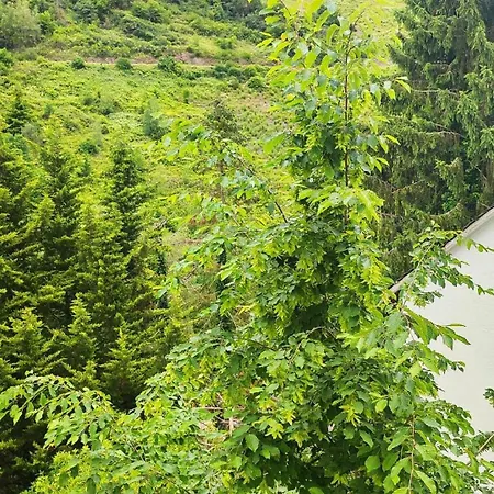 Apartamento Bergblick2 *